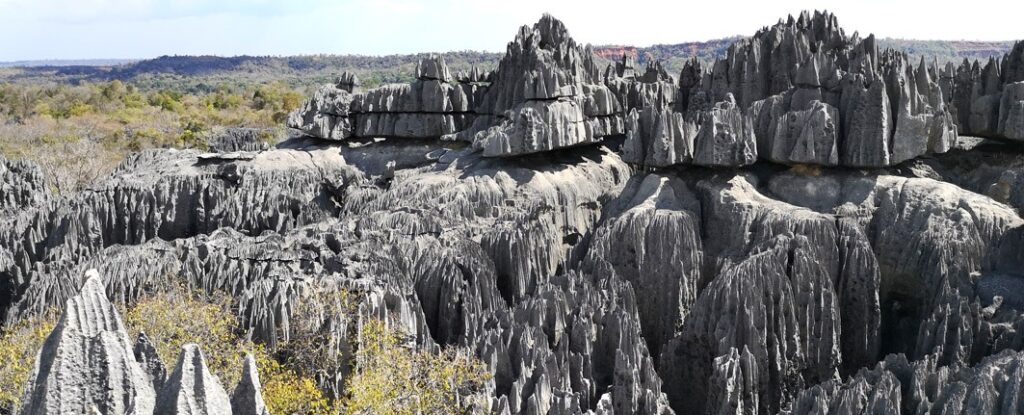 Tsingy de Bemaraha Tours Packages