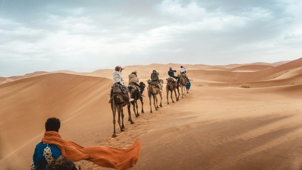 Africa Safari Tours Morocco Marakesh 1024x576