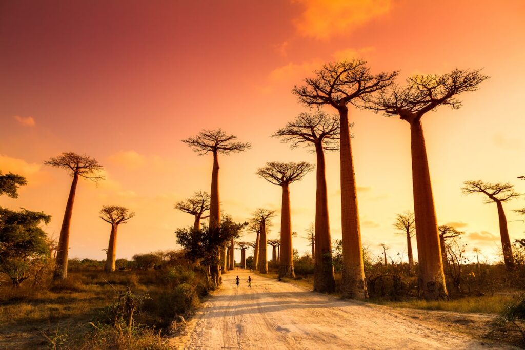 15 days Madagascar group tour 2026