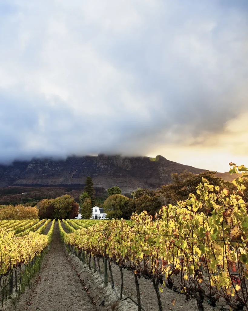 The must of Madagascar | Comfort