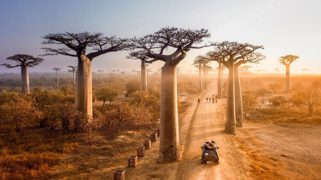 Group Tours | 17 Days Madagascar in Depth