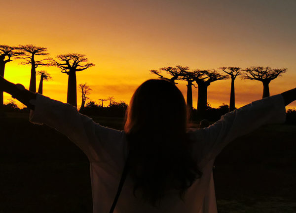 Madagascar Flying Safari | Lemurs & Baobabs