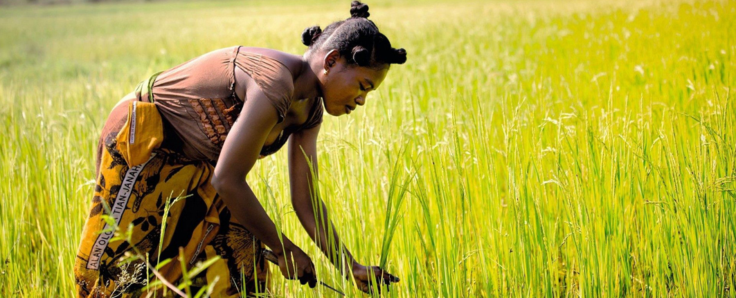 Southern to the highland | Available all year