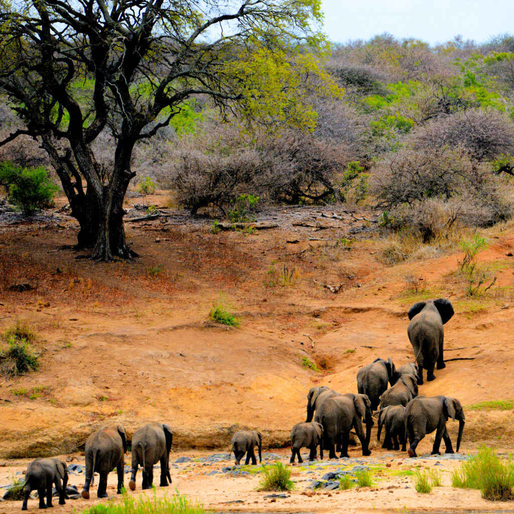 Oudtshoorn Adventure Tours Package