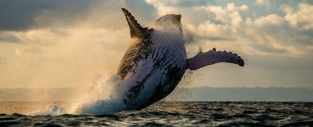 18 days Madagascar Expedition group tour departure 2026 (especially for senior traveler)