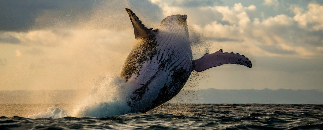 18 days Madagascar Expedition group tour departure 2026 (especially for senior traveler)