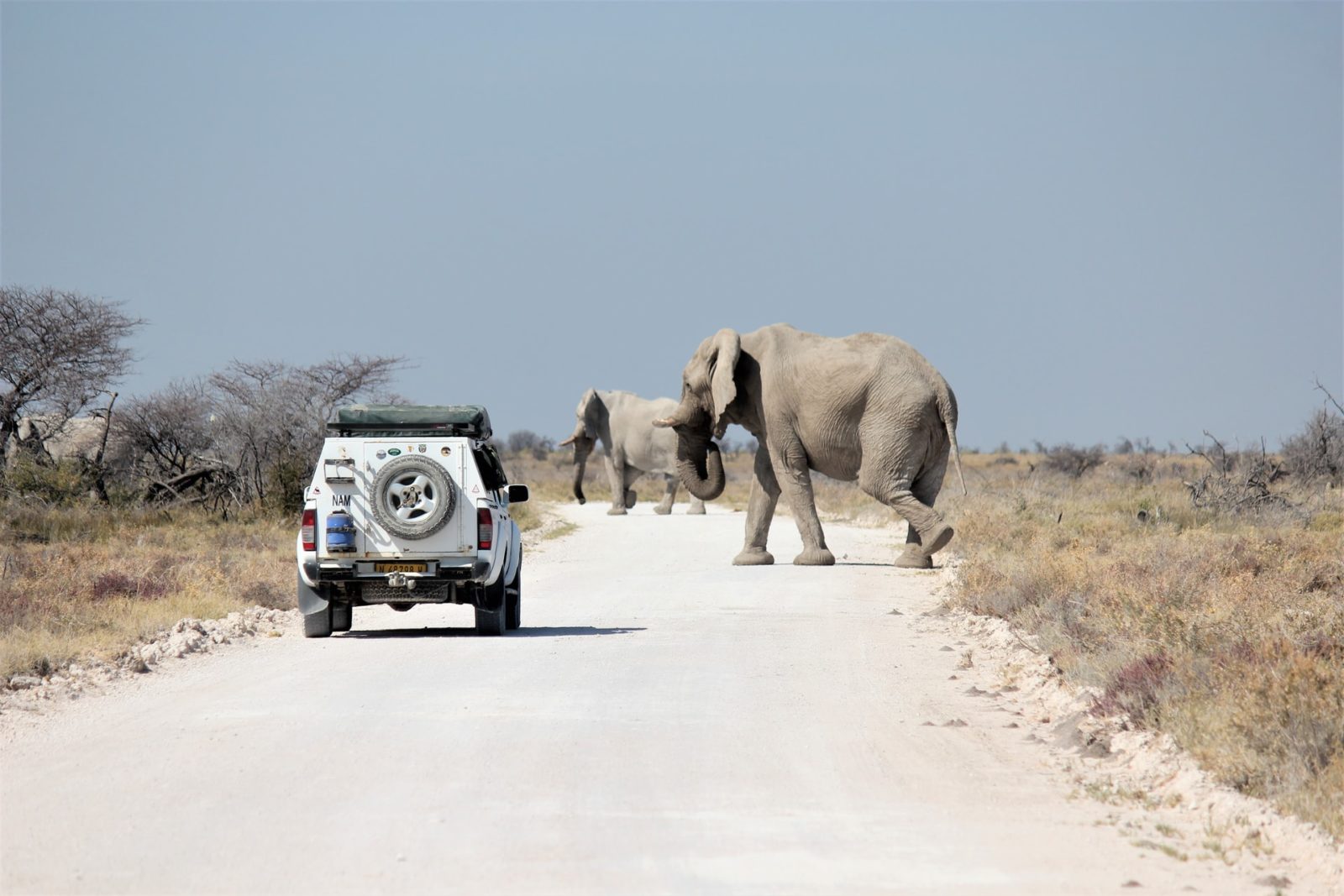 Namibia great highlight luxury tour package