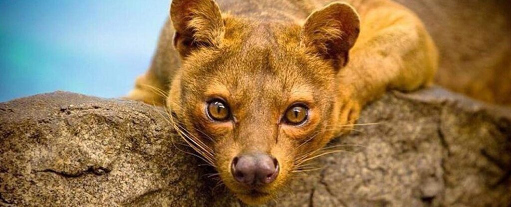 Luxury tours packages for Older People over 50s