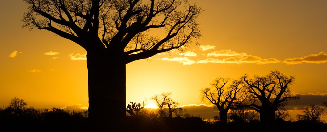 The worth of Madagascar – All with private charter