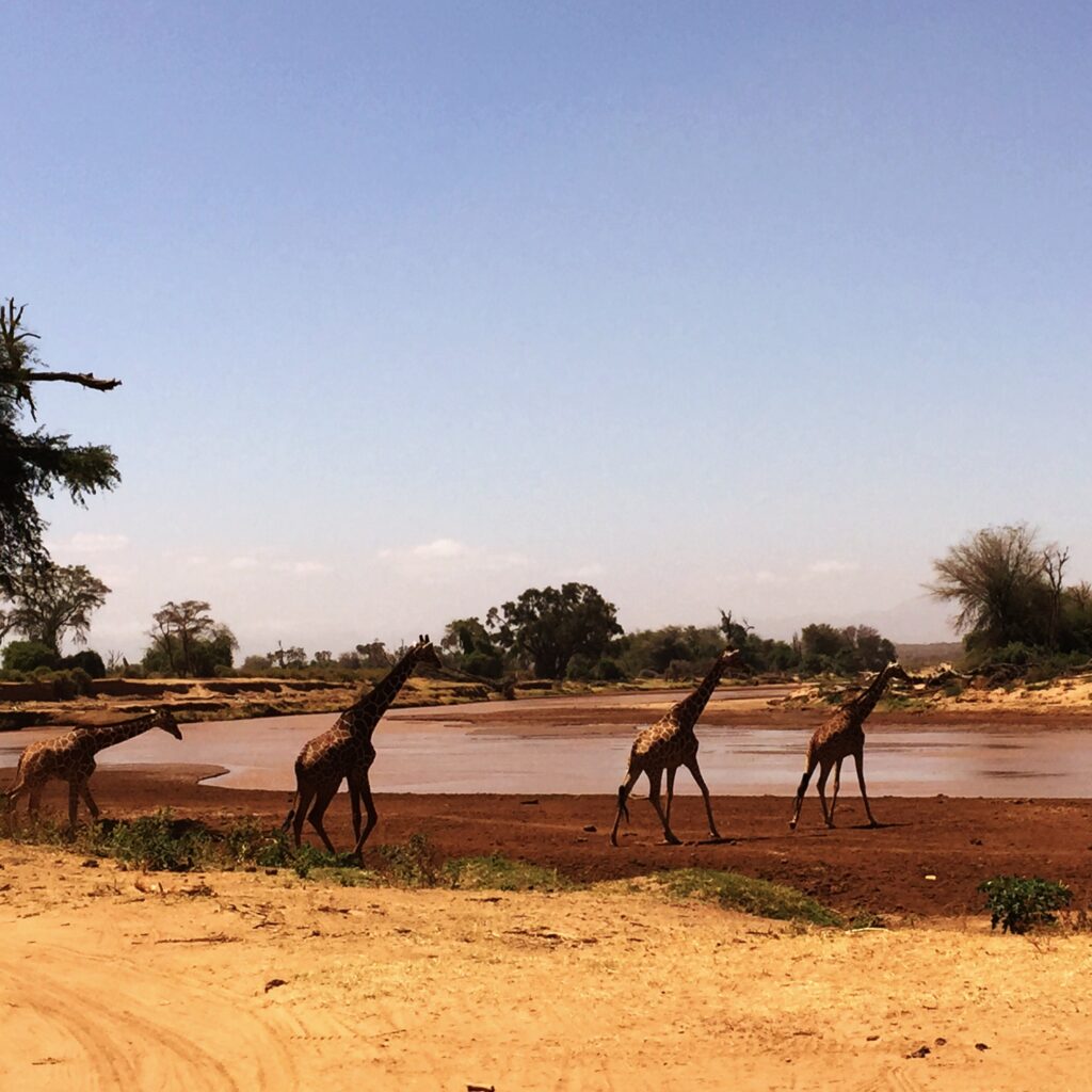 Namibia Tour Packages Img 1 1024x1024