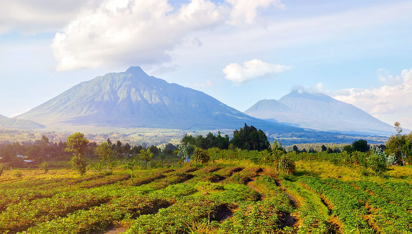 Luxury Uganda Safaris Tours