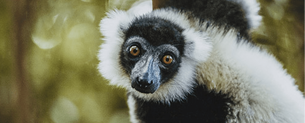 15 days Madagascar group tour 2026