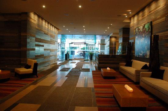 Wildlife safari world tour & travel by a private jet