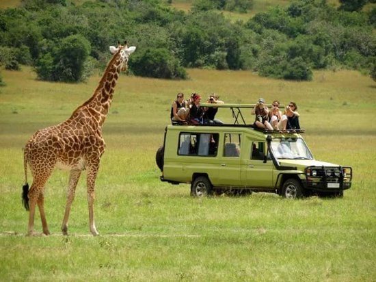 Luxury Uganda Safaris Tours