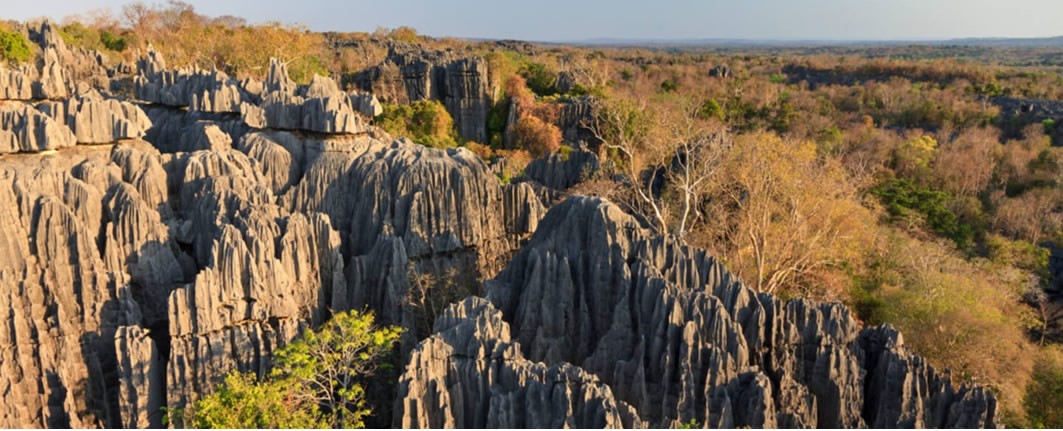 KIRINDY-BELO-BEKOPAKA