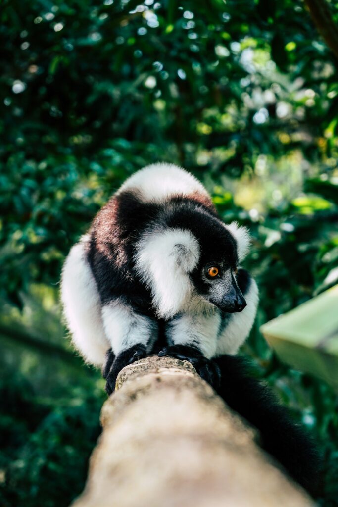 Bespoke Madagascar Holidays