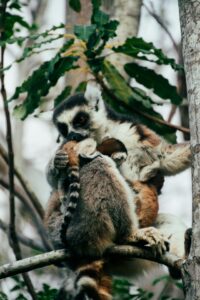 Exclusive Private Charter Tours