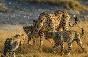 HT Agency Tours Destinations