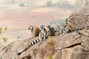 Madagascar high-end travel