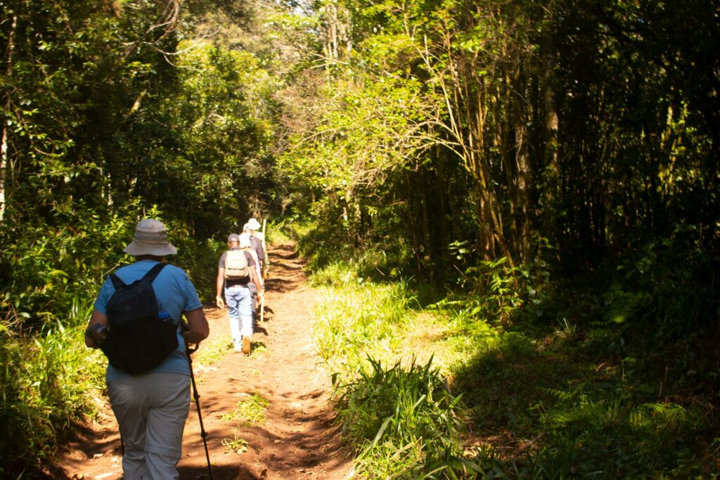 Best Madagascar Group Tours Departure 2026 & 2027