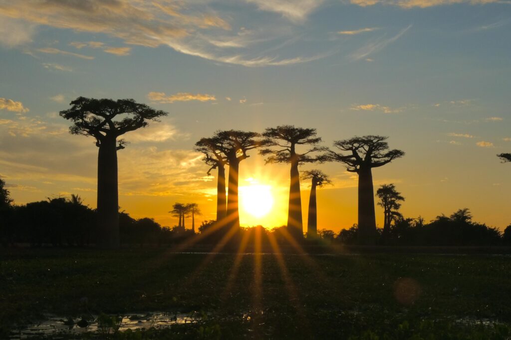 Madagascar Bespoke Travel Itinerary