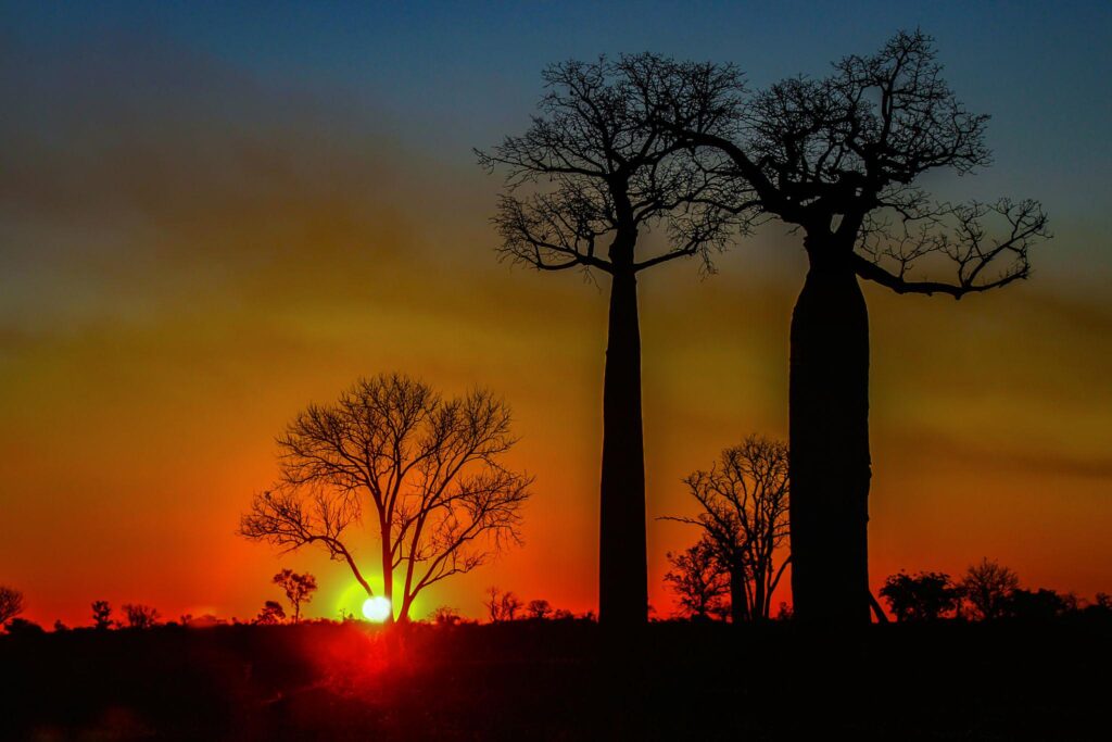 Madagascar Group Tours Cost Guide