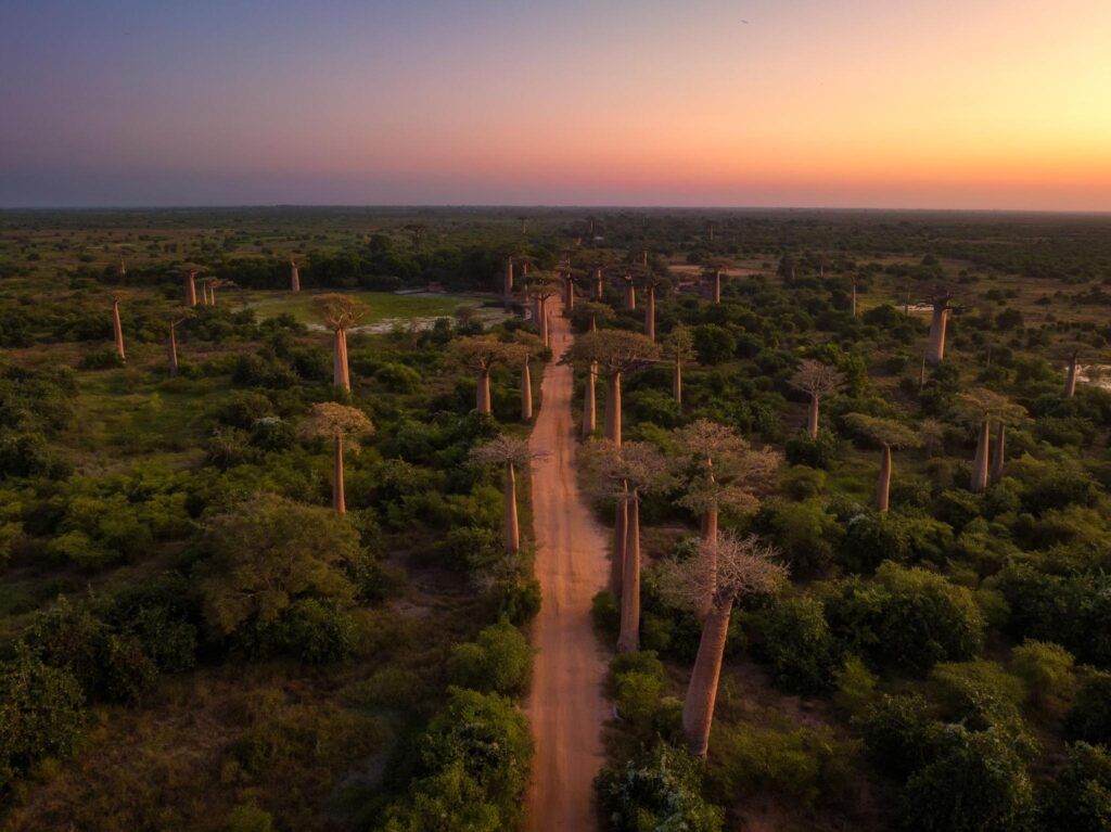 Madagascar air safari