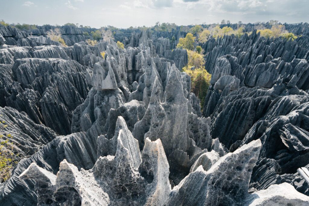 Madagascar fly-in safari