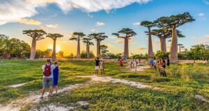 Madagascar group tours 2026