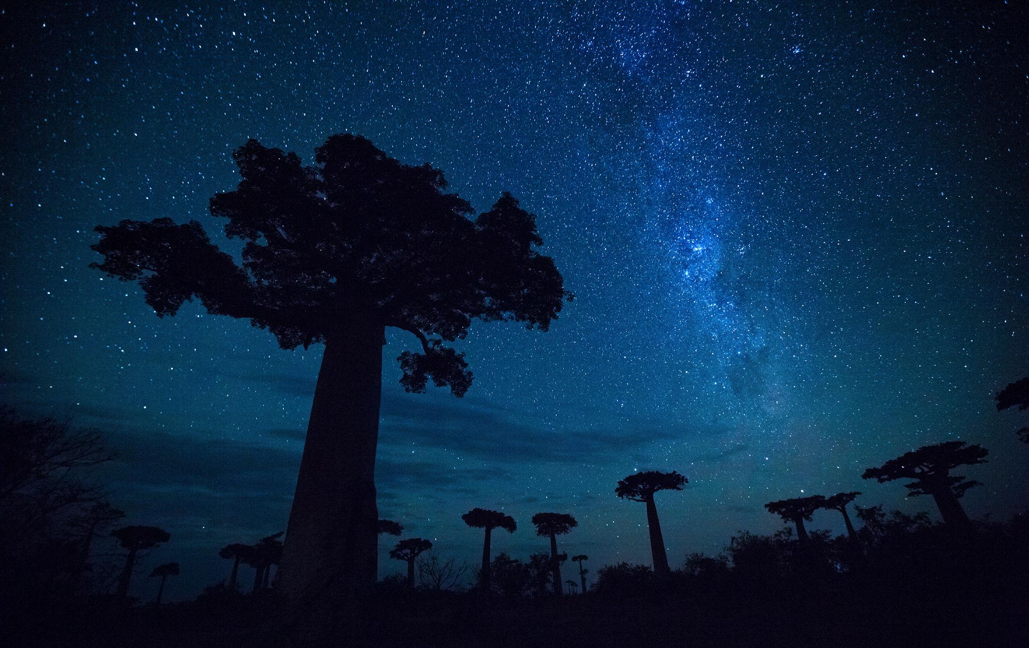 Exclusive Madagascar private journey under baobabs and starry sky