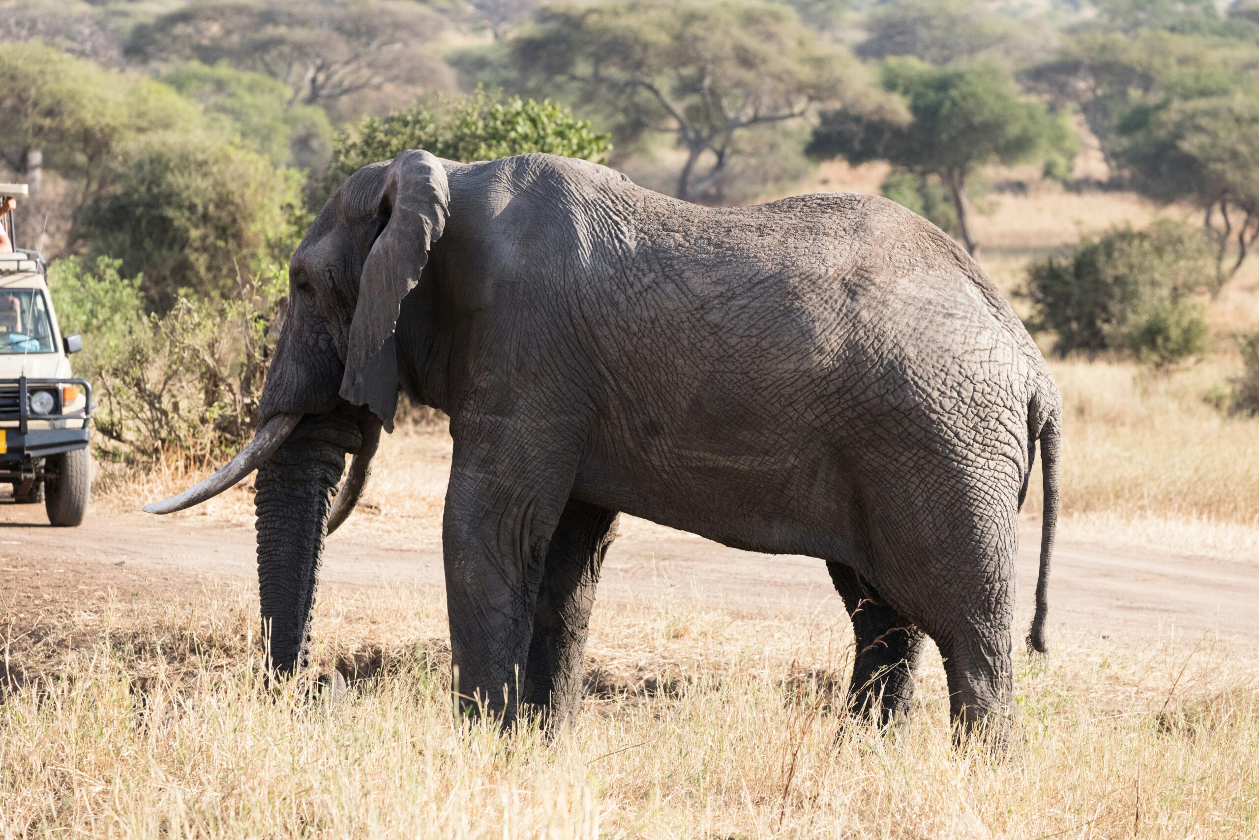 9 DAY TANZANIA NORTHERN CIRCUIT — A SAFARI THROUGH ICONIC LANDSCAPES
