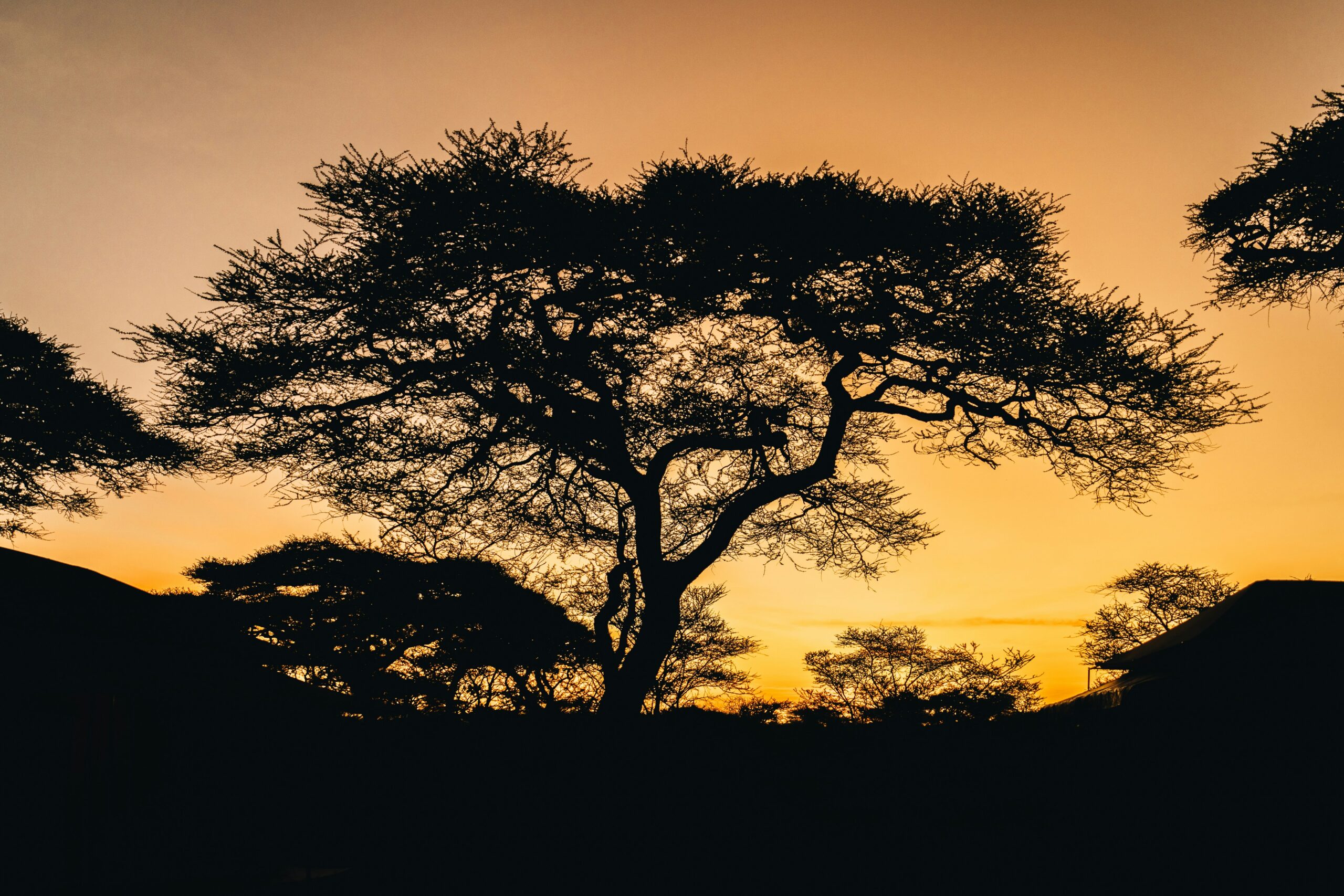 9 DAY TANZANIA NORTHERN CIRCUIT — A SAFARI THROUGH ICONIC LANDSCAPES