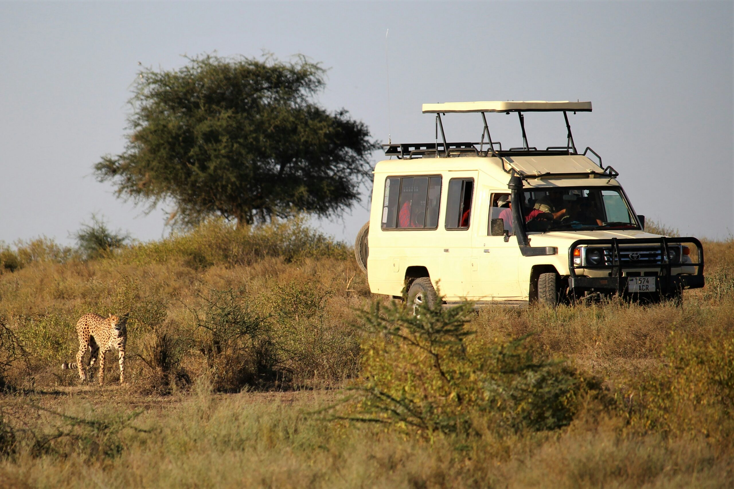 9 DAY TANZANIA NORTHERN CIRCUIT — A SAFARI THROUGH ICONIC LANDSCAPES