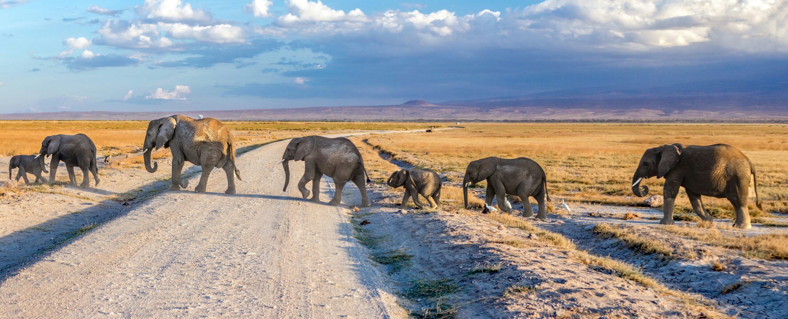 TANZANIA GRAND SAFARI:  NGORONGORO, SERENGETI & BEYOND IN REFINED LUXURY