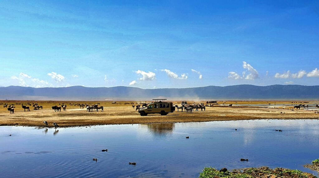 Elite Tanzania Travel Package | Private Luxury Travel Guide