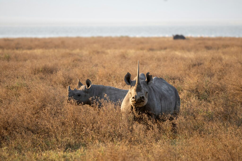 Exclusive Tanzania Experiences | Private Luxury Travel Guide
