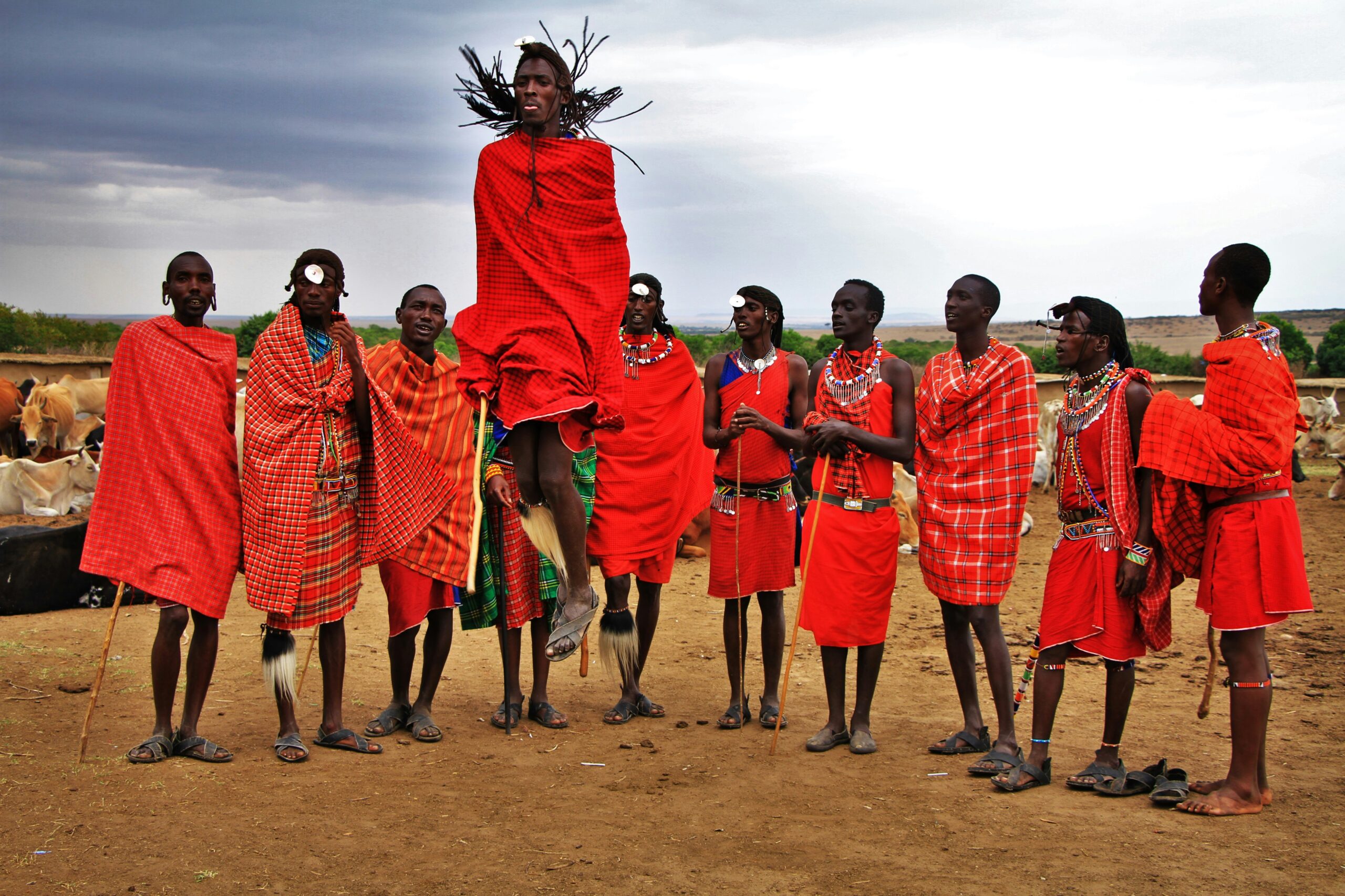 8-DAY TANZANIA SAFARI — BIG FIVE ENCOUNTERS & AUTHENTIC CULTURAL EXPERIENCES