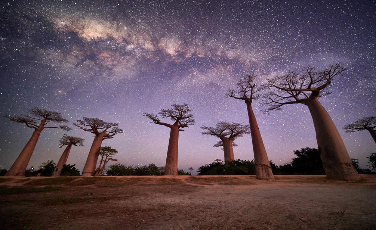 13-Day Madagascar Group Wildlife Tour & Flying Safari